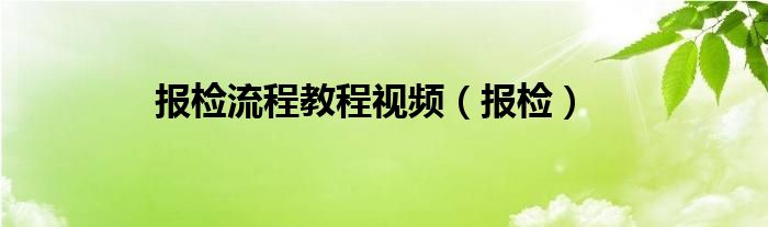 报检流程教程视频（报检）