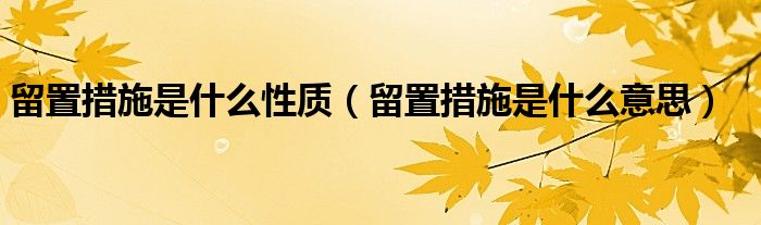 留置措施是什么性质（留置措施是什么意思）