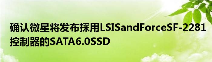 确认微星将发布採用LSISandForceSF