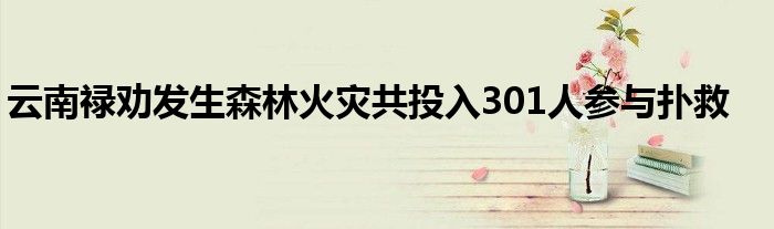云南禄劝发生森林火灾共投入301人参与扑救