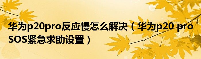 华为p20pro反应慢怎么解决（华为p20 pro SOS紧急求助设置）