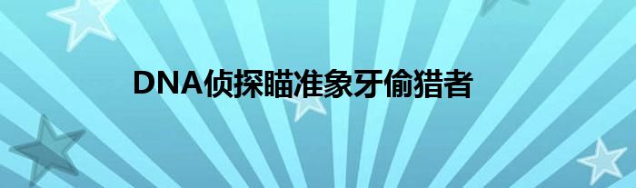 DNA侦探瞄准象牙偷猎者