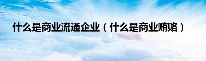 什么是商业流通企业（什么是商业贿赂）