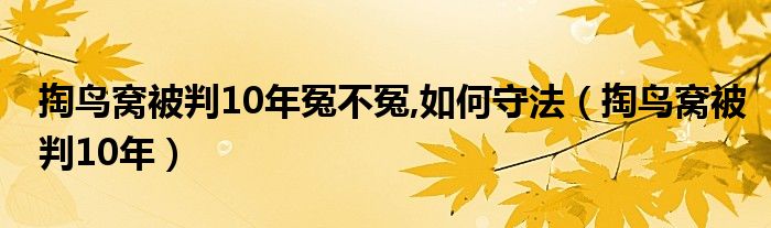 掏鸟窝被判10年冤不冤,如何守法（掏鸟窝被判10年）
