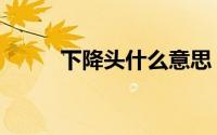 下降头什么意思（下降头啥意思）