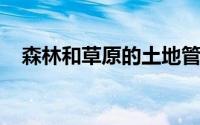 森林和草原的土地管理我们可以加强多少