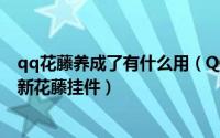qq花藤养成了有什么用（QQ空间里怎么添加新花藤及领养新花藤挂件）