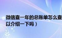 微信查一年的总账单怎么查（微信怎么看一年的总账单?可以介绍一下吗）