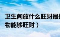 卫生间放什么旺财最好（卫生间里放置什么植物能够旺财）