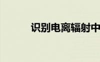识别电离辐射中的生物分子碎片