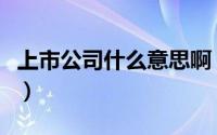 上市公司什么意思啊（国内上市公司什么意思）