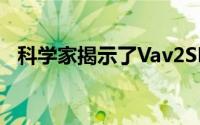 科学家揭示了Vav2SH2蛋白的双重特异性