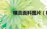 横贡面料图片（横贡是什么面料）
