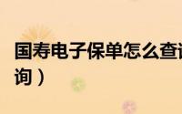 国寿电子保单怎么查询（国寿电子保单怎么查询）