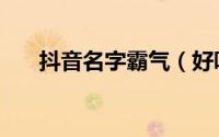 抖音名字霸气（好听火爆的抖音名字）