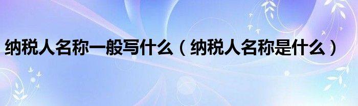 纳税人名称一般写什么（纳税人名称是什么）