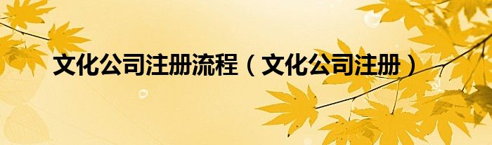 文化公司注册流程（文化公司注册）