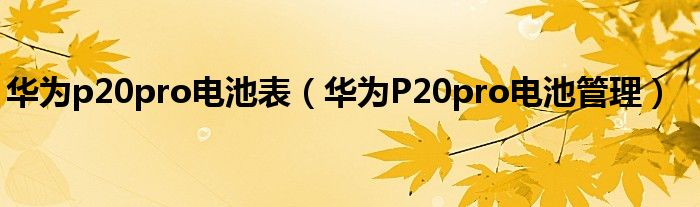 华为p20pro电池表（华为P20pro电池管理）