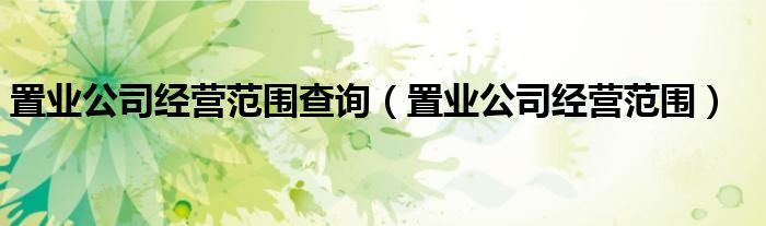置业公司经营范围查询（置业公司经营范围）