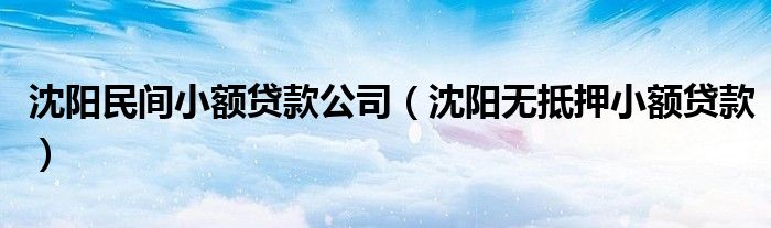 沈阳民间小额贷款公司（沈阳无抵押小额贷款）