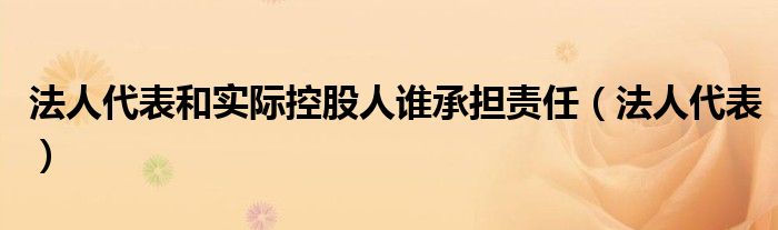 法人代表和实际控股人谁承担责任（法人代表）