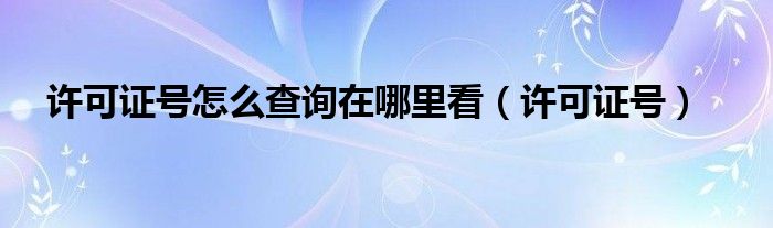 许可证号怎么查询在哪里看（许可证号）
