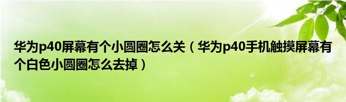 华为p40屏幕有个小圆圈怎么关（华为p40手机触摸屏幕有个白色小圆圈怎么去掉）
