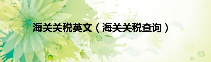 海关关税英文（海关关税查询）