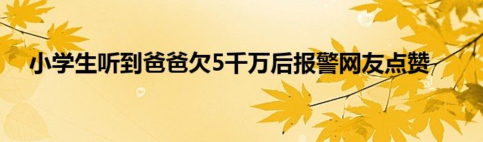  小学生听到爸爸欠5千万后报警网友点赞
