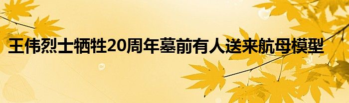 王伟烈士牺牲20周年墓前有人送来航母模型