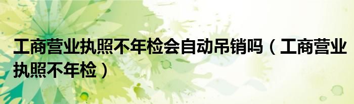 工商营业执照不年检会自动吊销吗（工商营业执照不年检）