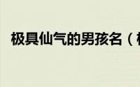 极具仙气的男孩名（极具仙气感的男孩名）