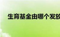生育基金由哪个发放（生育基金怎么查）