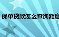 保单贷款怎么查询额度（保单贷款怎么办理）