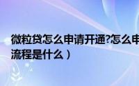 微粒贷怎么申请开通?怎么申请微粒贷?（微粒贷申请和开通流程是什么）