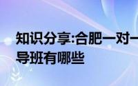 知识分享:合肥一对一辅导价格是多少好的辅导班有哪些