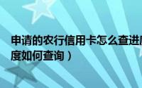 申请的农行信用卡怎么查进度（请问农业银行信用卡申请进度如何查询）