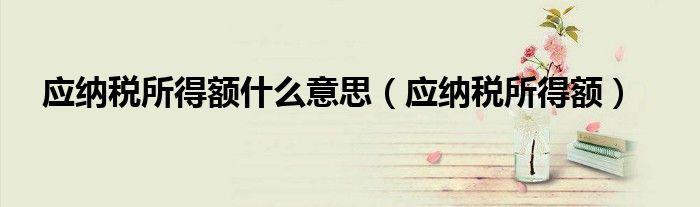 应纳税所得额什么意思（应纳税所得额）