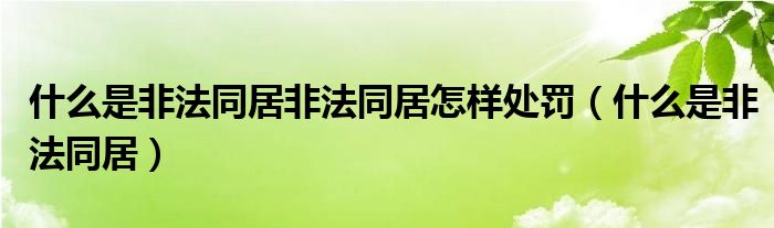什么是非法同居非法同居怎样处罚（什么是非法同居）
