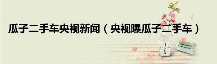 瓜子二手车央视新闻（央视曝瓜子二手车）