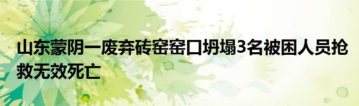山东蒙阴一废弃砖窑窑口坍塌3名被困人员抢救无效死亡