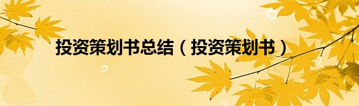  投资策划书总结（投资策划书）