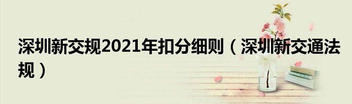 深圳新交规2021年扣分细则（深圳新交通法规）