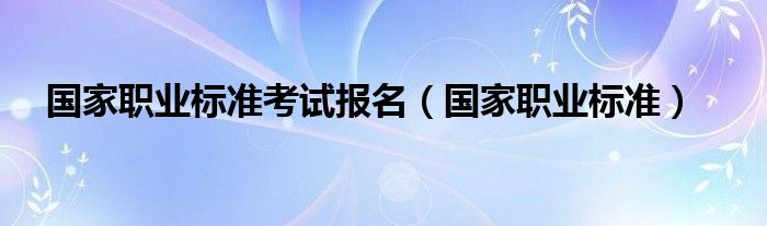 国家职业标准考试报名（国家职业标准）