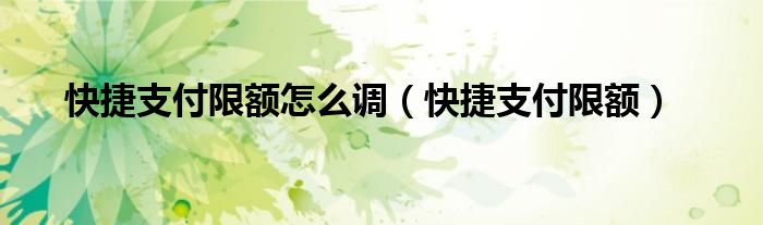快捷支付限额怎么调（快捷支付限额）