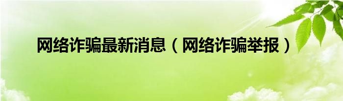 网络诈骗最新消息（网络诈骗举报）