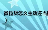 微粒贷怎么主动还当期款（微粒贷怎么贷款啊）