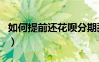 如何提前还花呗分期款（如何提前还花呗分期）