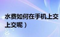 水费如何在手机上交（自来水缴费怎么在手机上交呢）