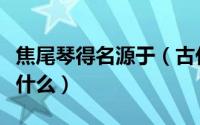 焦尾琴得名源于（古代名琴焦尾琴的得名源于什么）